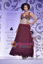 at Rocky S show for Amby Valley Indian Bridal Week on 29th Oct 2010 (9).JPG